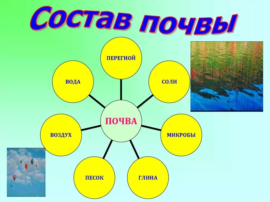 Состав почвы. Презентация на тему почва. Доклад о почве. Призентация на тема почива.