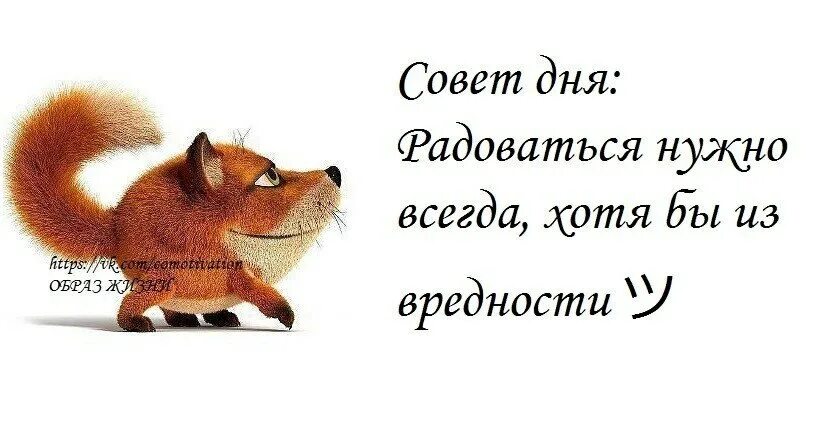 Почему ж никто не радуется. Совет дня. Совет дня в картинках. Совет дня шутка. Совет дня прикольный.