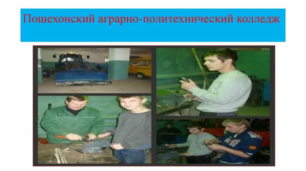 Пошехонский колледж. Сайт пошехонского аграрно политехнического колледжа. Пошехонский колледж. Аграрно политехнический колледж углич. Угличский аграрно-политехнический колледж.