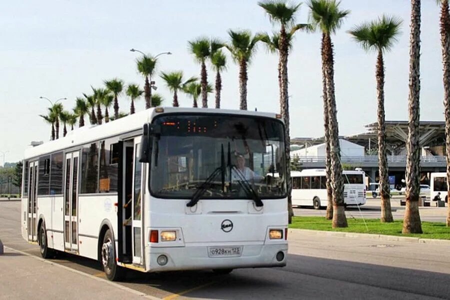 Автобусы Сочи. Городские автобусы в Сочи. Сочинский автобус. Городской транспорт Сочи.