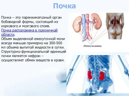 Почему почки липкие