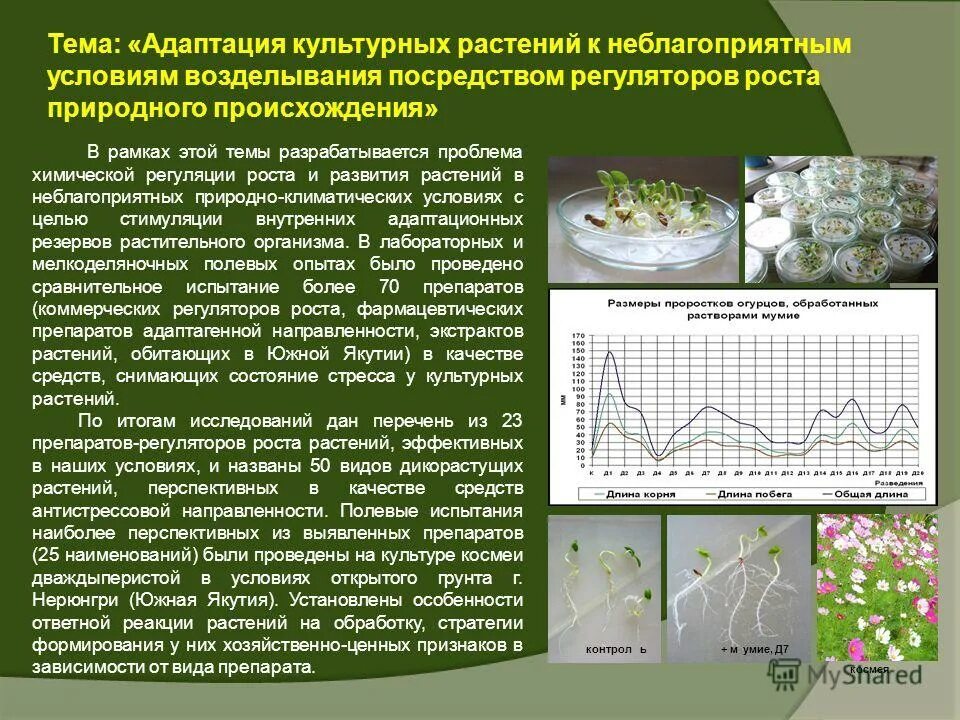 борьба с неблагоприятными факторами среды. переживание неблагоприятных условий растений. устойчивость растений к неблагоприятным факторам среды. борба с неблагоприятными условиями среды. какие неблагоприятные условия для растений.