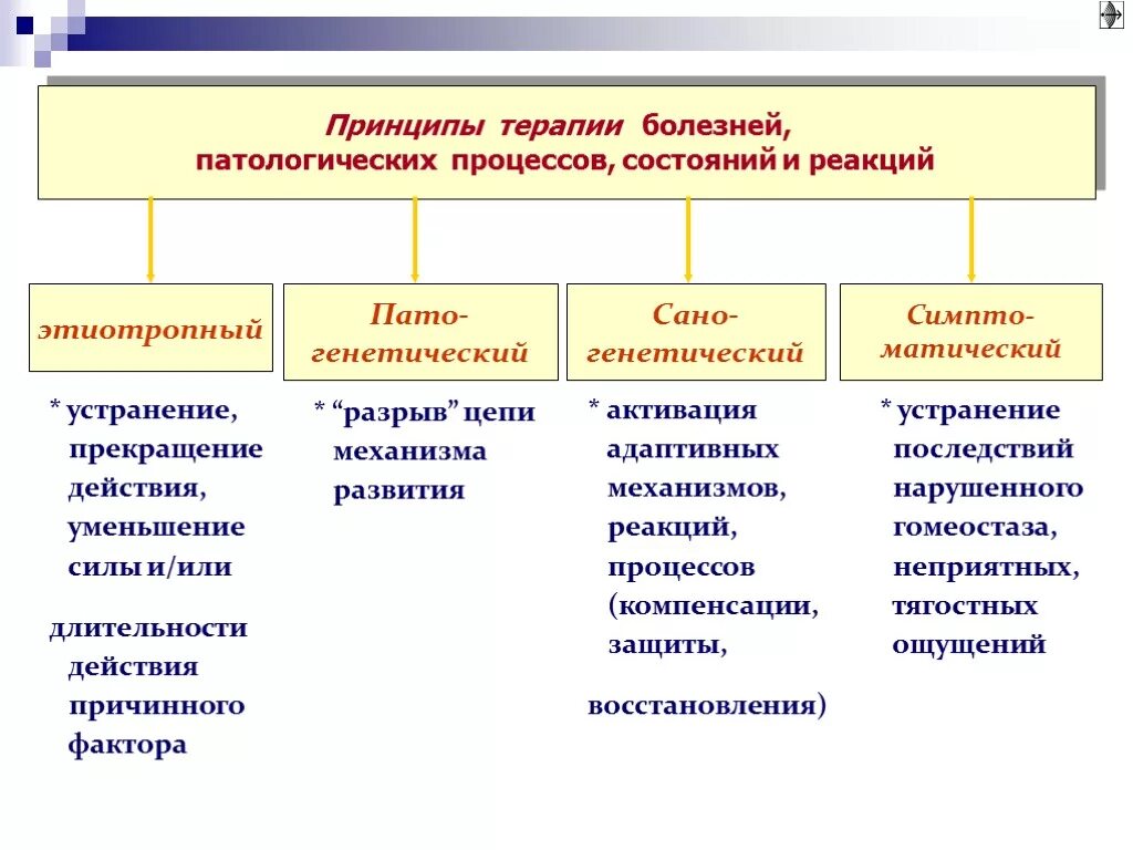 Принципы лечения больных