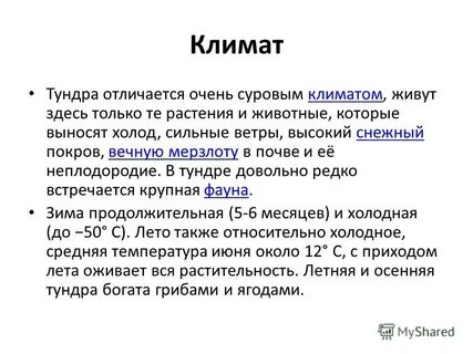 Тундра климат растения животные
