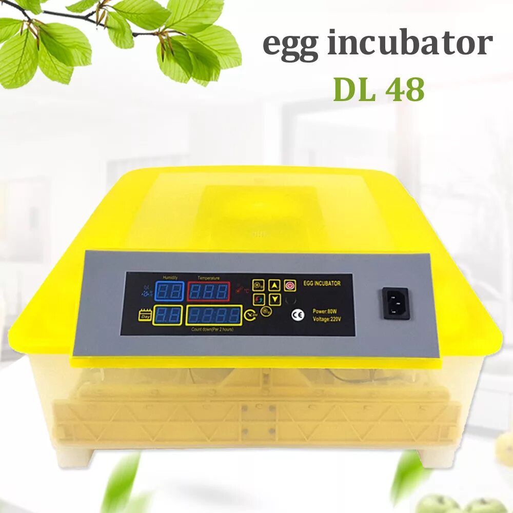 Цифровые инкубаторы купить. Инкубатор Dulong WG 48. Китайский инкубатор аи48. Инкубатор Egg incubator. Full Automatic Digital inkubator цена.