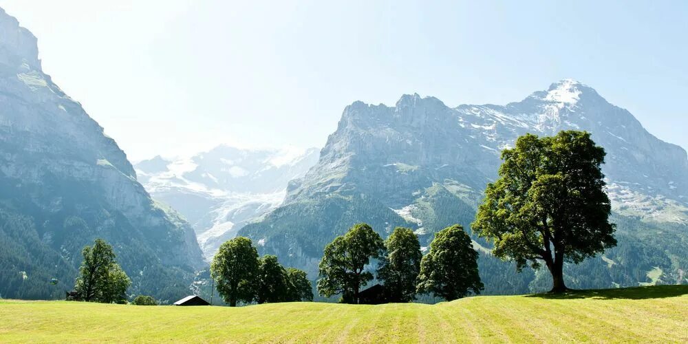 Альпийские луга италии. Альпийские горы в швейцарии. Памирский ботанический сад в хороге. Mountain place. Нангапарбат.