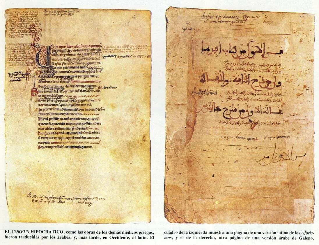 Священные трактаты. Сунна книга ислама. Лао цзы дао. Книга сунна пророка. Священные книги иудаизма.