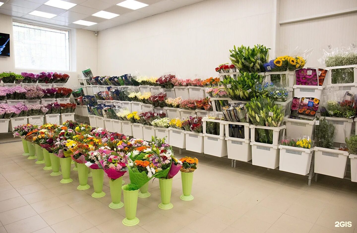 розы рижский рынок. цветочная база клумба. оптовые базы цветов. рижский рынок цветов. опт и розница цветов.