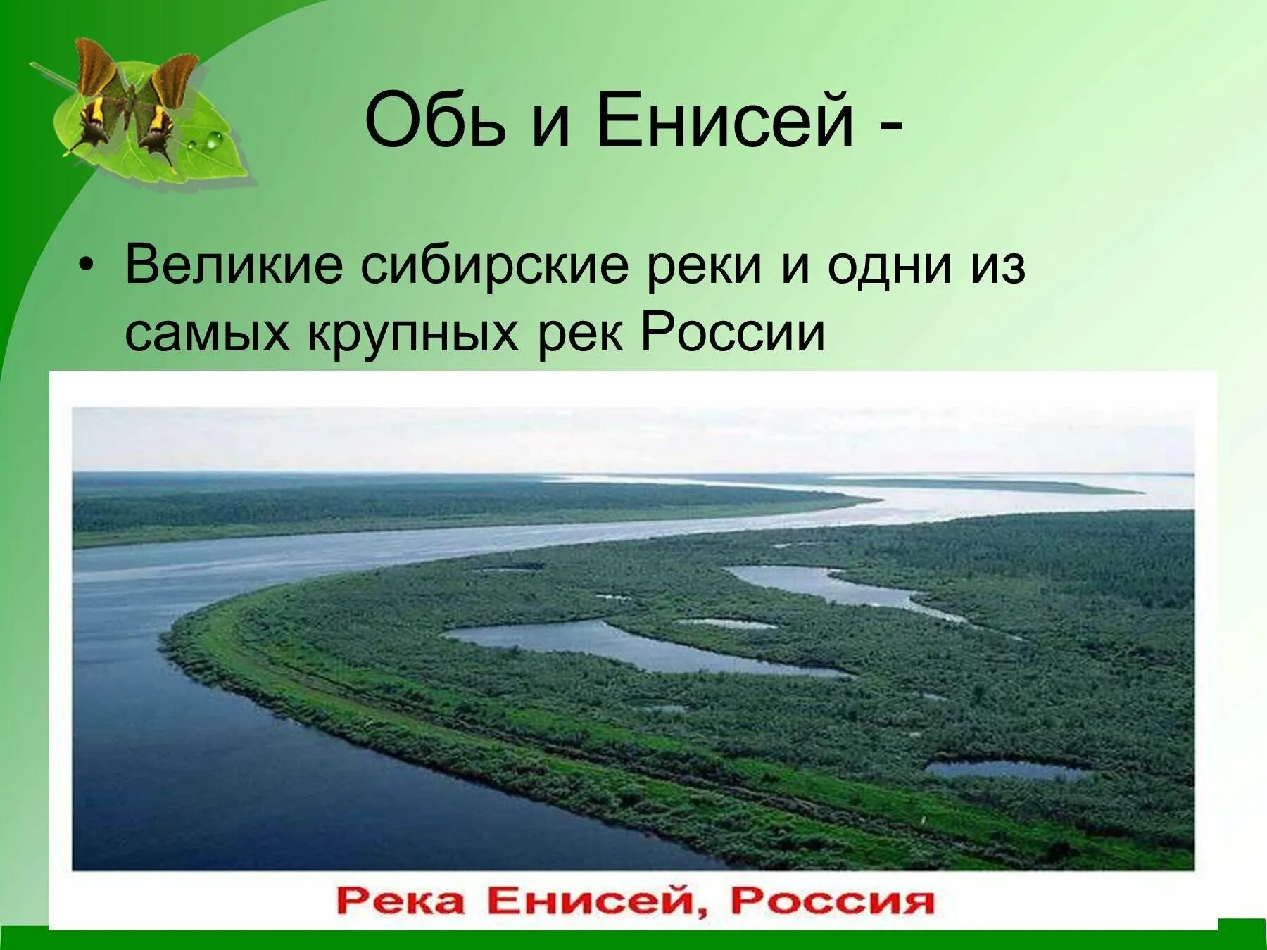 Пространство сибири презентация 9 класс полярная звезда. Реки России. Обь и Енисей. Реки России Енисей Обь. Обь крупнейшая река Сибири.