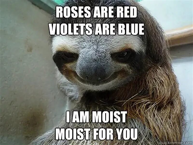 Blue memes. Roses are Red Violets are Blue. Roses are Red Violets are Blue memes. Roses are Red meme. Roses are Red Violets are Blue meme.