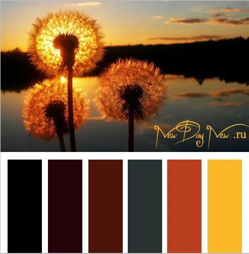 Цветовые сочетания с оранжевым. Сочетание цветов оранжевый коричневый. Цветовая палитра желтый коричневый. Черный оранжевый палитра. Темный оранжево желтый цвет