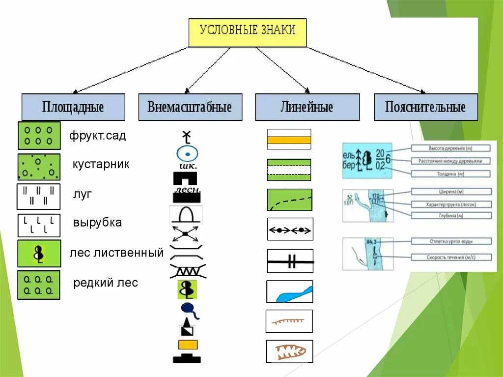 Что показывают условные знаки. Площадные условные знаки топографических карт. Условный знак школа география 5 класс. Что такое площадные условные знаки на топографической карте. География 5 класс обозначения на карте местности условные знаки.