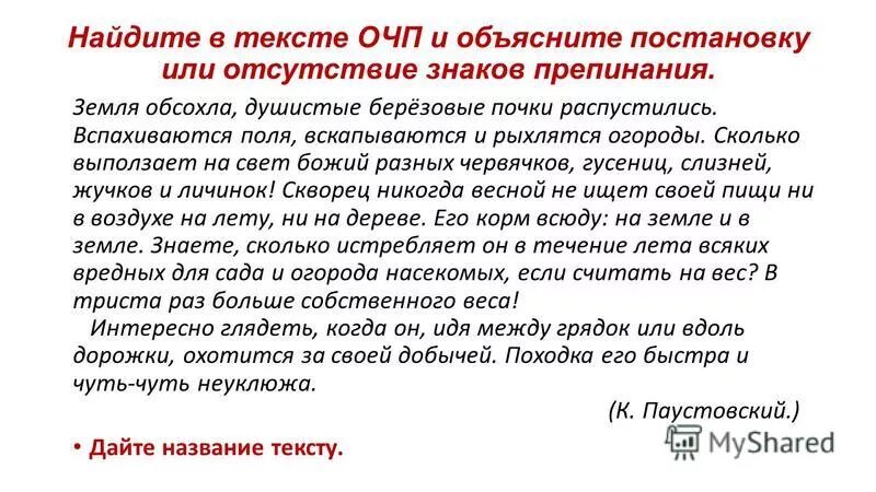 Земля обсохла душистые березовые. Скворец земля обсохла душистые березовые. Ива распускается. Листья деревьев весной. Земля обсохла душистые березовые почки распустились.