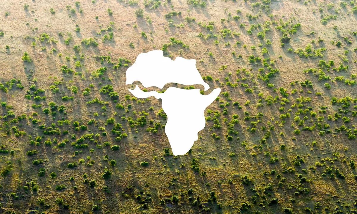 Страны без лесов. Великая зеленая стена сахара пустыня. Сахель зеленая стена. Проект Великая зеленая стена в Африке. Проект зеленая стена в Африке.