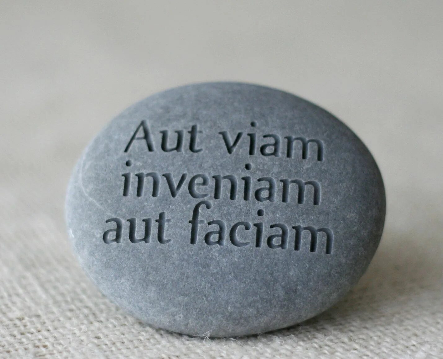 Латынь на самом себе. Aut viam inveniam, aut faciam. Аут ВИАМ инвениам аут фациам. Aut viam inveniam, aut faciam или найду дорогу, или проложу ее сам. Латинские изречения.