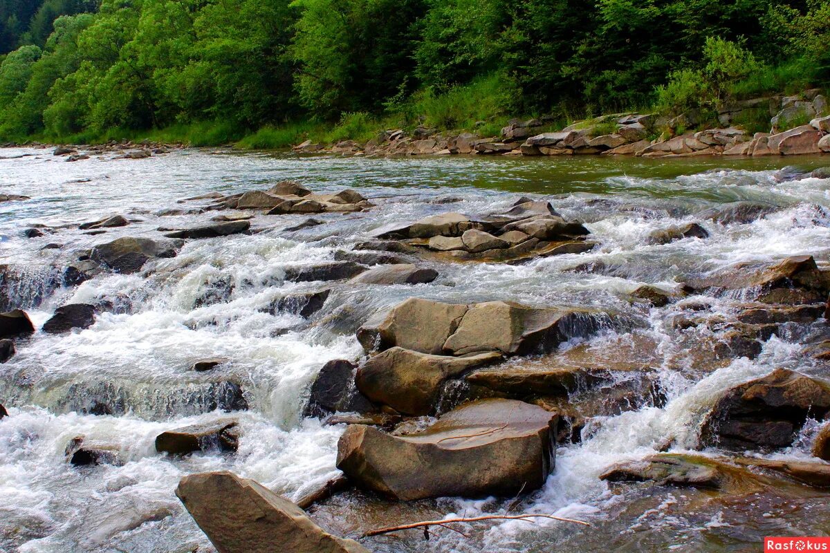 нижняя манява белорецкий район. яремча карпаты река. река в карпатах 4 буквы. река черемош на украине. карпаты летом картинки.