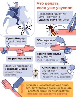 Укус насекомых антигистаминное