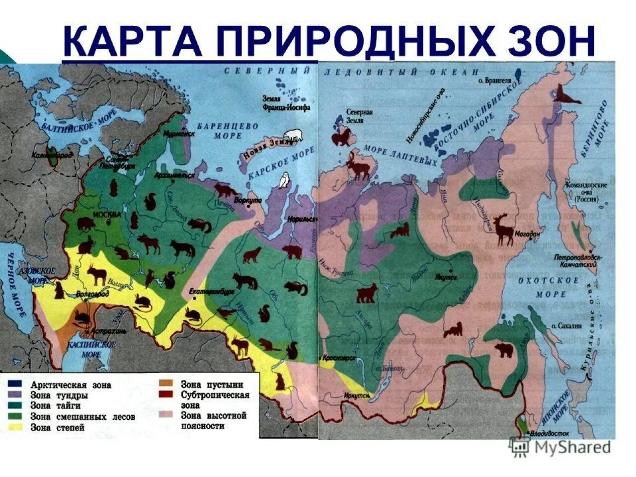 Штриховкой обозначьте территорию распространения смешанных лесов подпишите