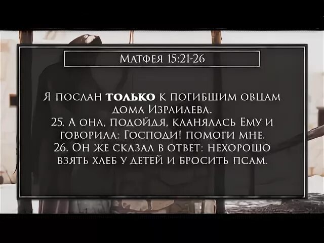Я пришел к овцам дома израилева. «послан только к погибшим овцам дома израилева» (мф. 15:24).. я пришел к погибшим овцам дома израилева. я пришёл к заблудшим овцам дома израилева библия.