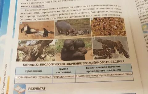 Впрочем по биологии 5 класс 2024