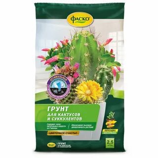 Фаско для кактусов