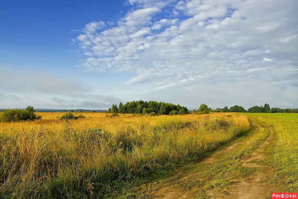 деревенская фотография летопись нашего народа. слева было поле. отступы в вкр. облака березы. собери 2 одинаковых по форме солнечных панелей на полях слева и справа.