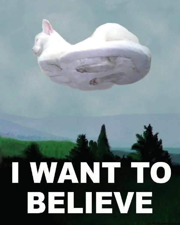 I can t believe this is. I want to believe утопия шоу. Летающая тарелка i want to believe. I want believe плакат. I want to believe Мем.