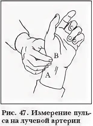 Измерение пульса алгоритм. Измерение пульса на лучевой. Измерение работы пульса. Измерение пульса. Памятка измерение пульса.
