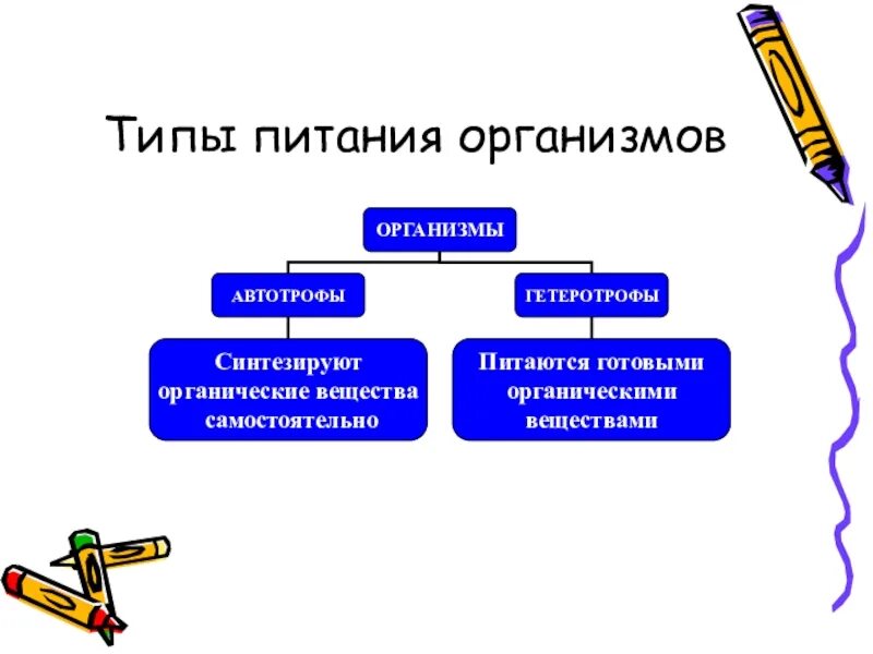Тип питания человека. Типы питания. типы питания биология. типы питания организмов 6 класс. организмы по типу питания.