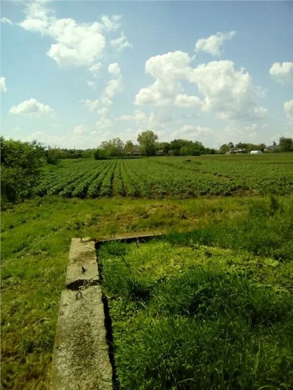 Село михайловское краснодарский край. Ао курорт михайловское. Село михайловское краснодарский край. Погода михайловское северский. Погода михайловское северский.