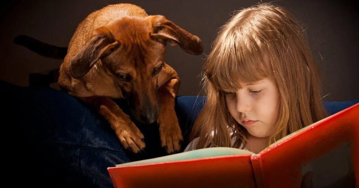 Домашние животные для детей. Книги про собак. Собака для детей. Чтение книги с собакой. Учительница собак