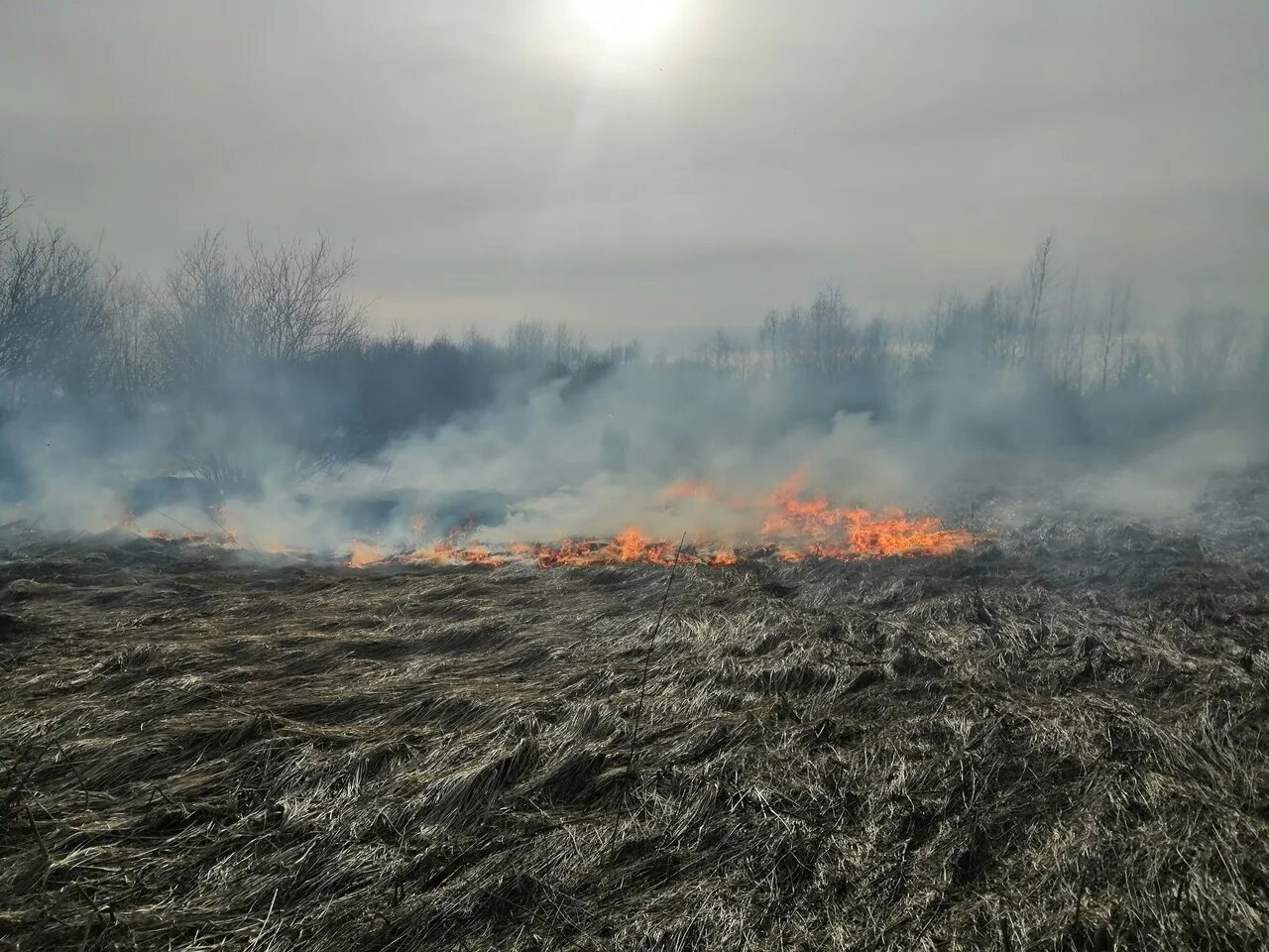 Горит пал. Палы сухой травы. Пожар в лесу. Травяной пожар. Пожароопасный период.