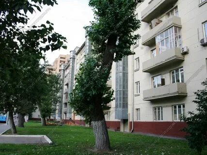 Беговая 24