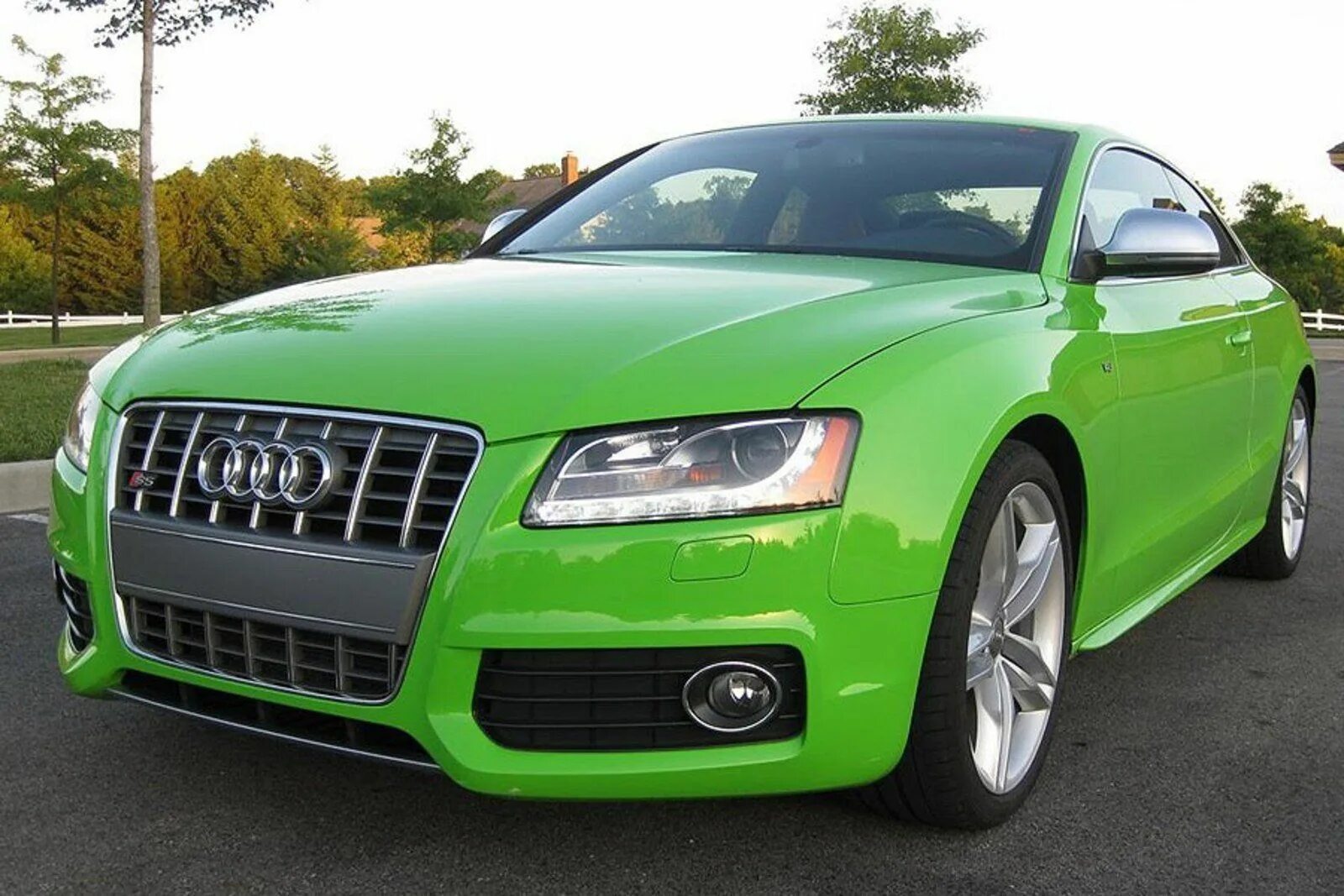 Audi s5 зеленая. Ауди а8 зеленая. Audi a5 s5 зеленый. Ауди q5 зеленая купе.
