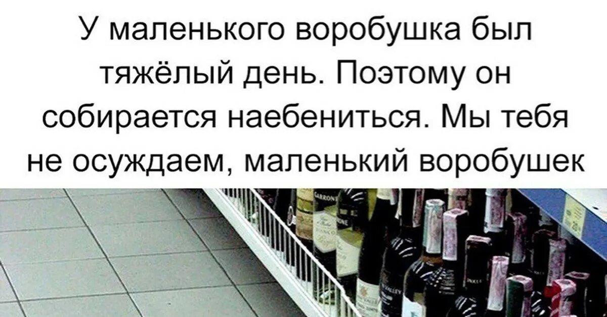 Мы не осуждаем тебя маленький Воробушек. У маленького воробушка был тяжелый день. Это был тяжелый день. Мы тебя не осуждаем.