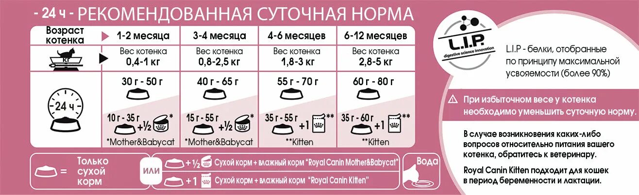 Сколько еды нужно кошке. Сколько грамм корма нужно давать котенку. Норма сухого корма для котят 2,5 месяца. Сколько давать котенку влажного корма в день. Норма сухого корма для котят 5 месяцев.