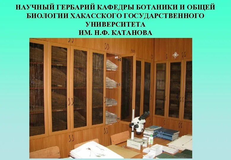 Кафедра общей биологии. Кафедра ботаники спбгу.