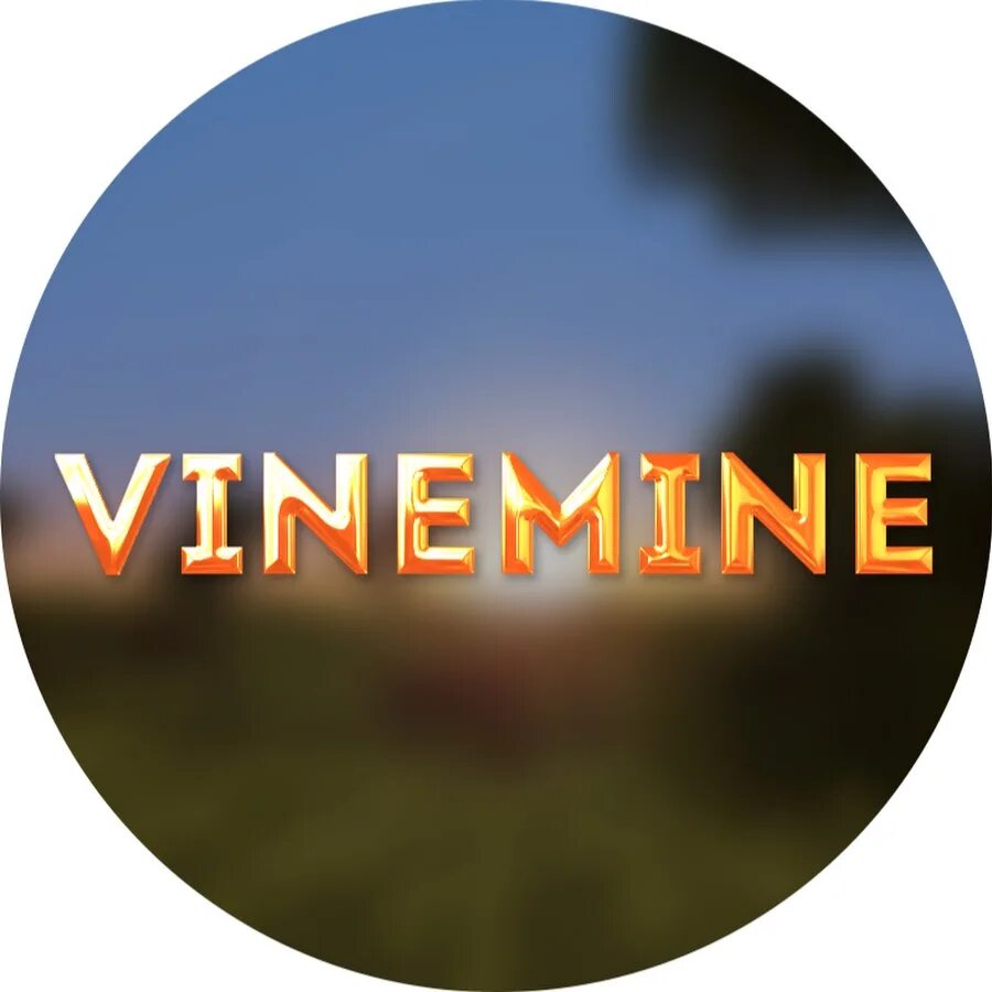 Вайнмайн. Сервера в майнкрафте vinemine. Vinemine донат. Вайнмайн. Кентик надпись.