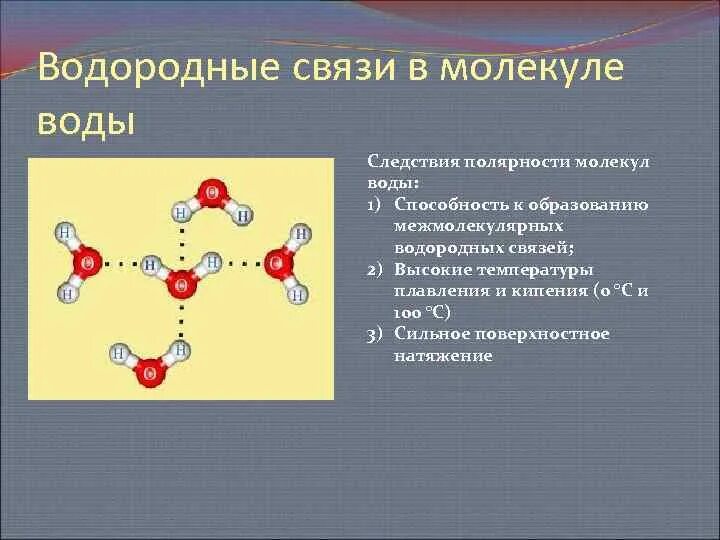 4 Водородная связь в молекуле воды. Связи между молекулами воды схема. Строение молекулы воды связи. Строение молекулы воды.