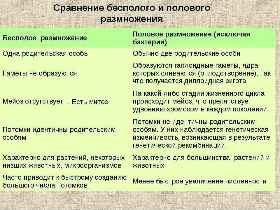 Почему при половом размножении потомства. Способы бесполого и полового размножения таблица. Сравнение полового и бесполого размножения таблица. Сравнительная характеристика полового и бесполого размножения. Таблица по биологии бесполое размножение половое размножение.