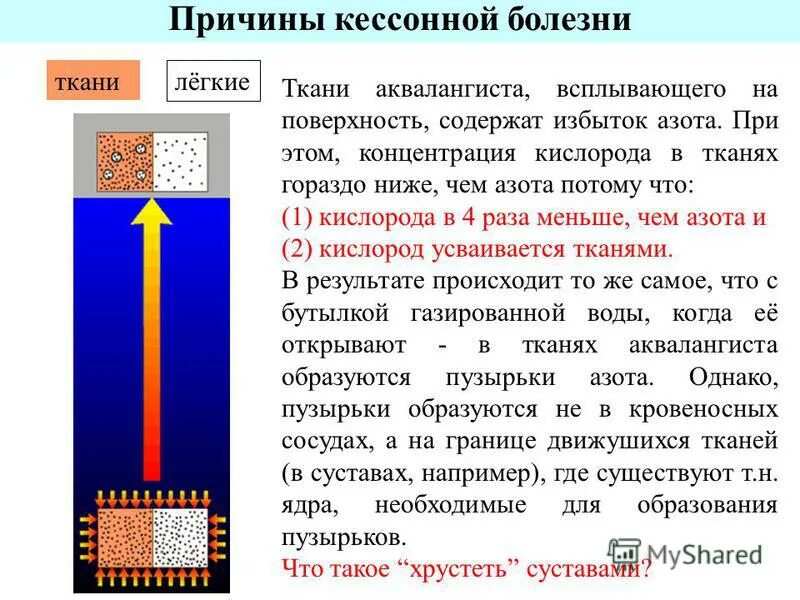 Кессонная болезнь возникает в результате изменения концентрации. Причины возникновения кессонной болезни. механизм развития кессонной болезни. кессонная болезнь причины. кессонная болезнь патогенез.