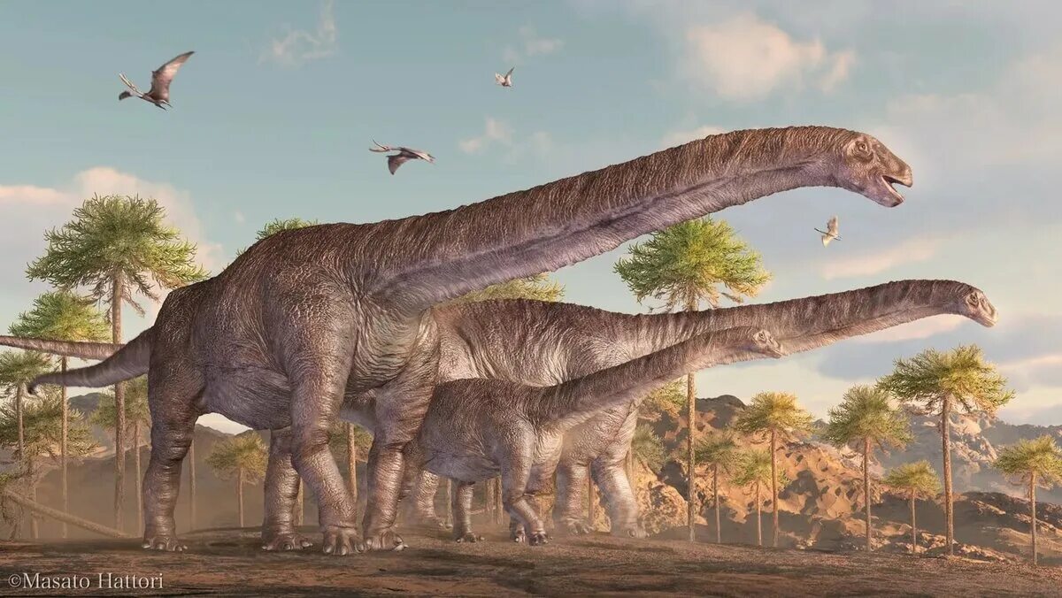 Где большой динозавр. Argentinosaurus динозавр. Зауроподы Аргентинозавр. Зауропод амфицелия. Самый большой динозавр в мире амфицелия.