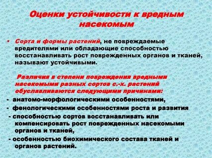 Обладаю оценкой