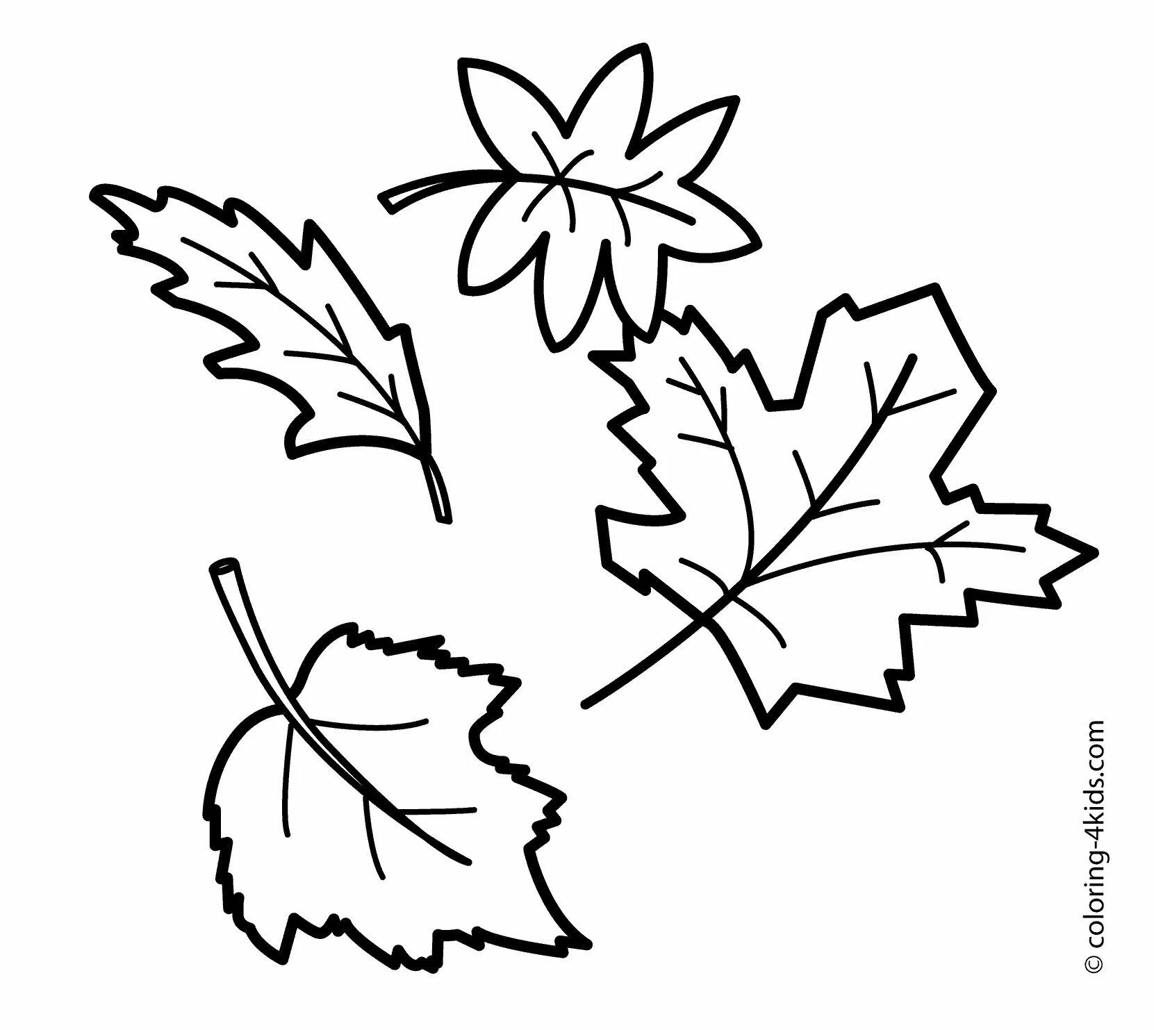 Черно белые картинки листьев. Осенние листья раскраска для детей. Раскраски осенних листьев для детей. Листья раскраска для детей. Осенние листочки раскраска для детей.