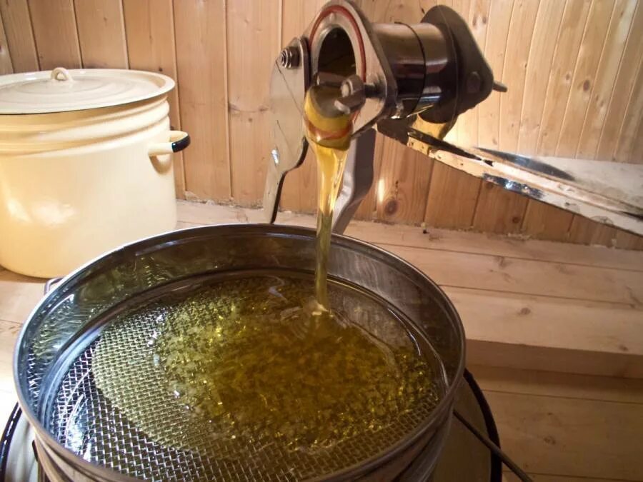 Качка меда. Качка меда. Медогонка с медом. Медогонка с медом. Откачка меда.