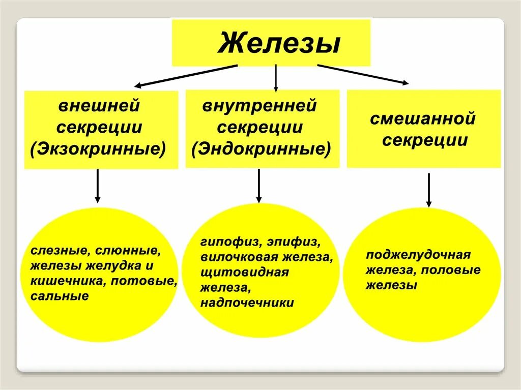 Отличается внешний внутреннего