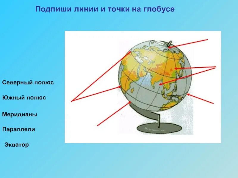 Северный полюс Южный полюс Экватор. Линии и точки на глобусе. Глобус название линий. Подпиши на глобусе линии и точки.