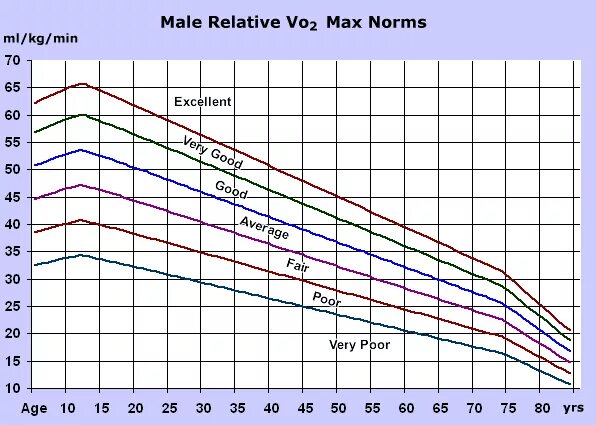 Vo2 max таблица по возрасту Vo2 max ou volume maximal d'oxygène Exercice musculation haltere, Entraînement m