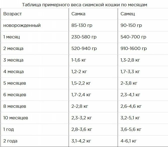 Вес кошки 4 кг. Нормы веса котят по месяцам таблица. вес британского котенка по месяцам таблица. вес кота по месяцам таблица. вес 6 месячного котенка норма.