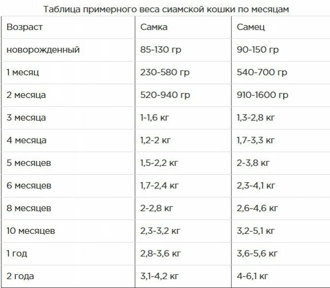 Вес котенка в 4. Сколько должен весить котик в 4 месяца. Нормальный вес кота в 7 месяцев. Вес британского котенка в 8 месяцев. Сколько вес котенка в 7 месяцев.